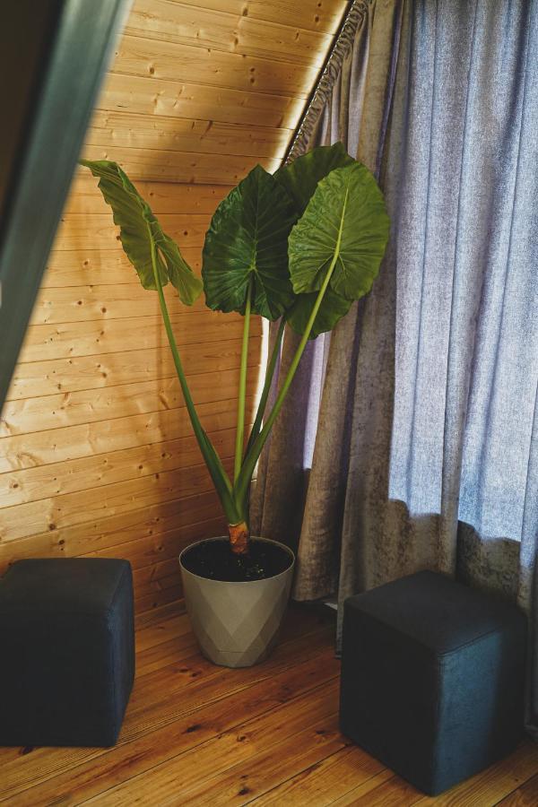 Kazbegi Folk Apartment ภายนอก รูปภาพ