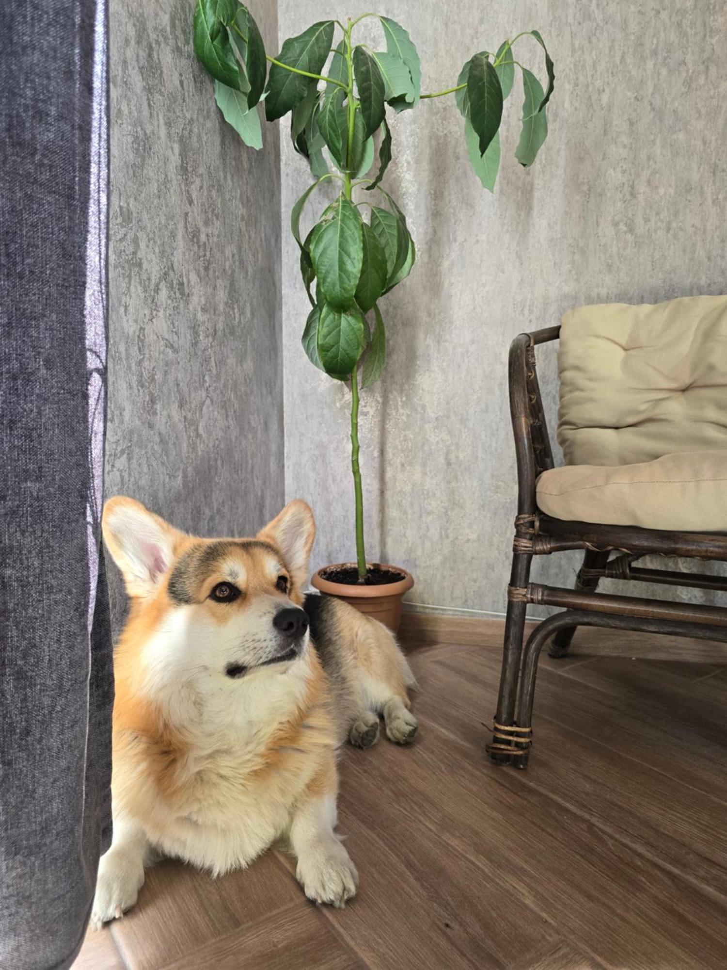Kazbegi Folk Apartment ภายนอก รูปภาพ